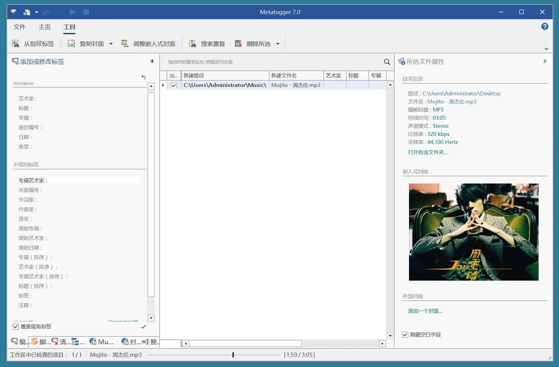 音频文件标签编辑器 Metatogger 7.3.3.0 绿色版(图1)