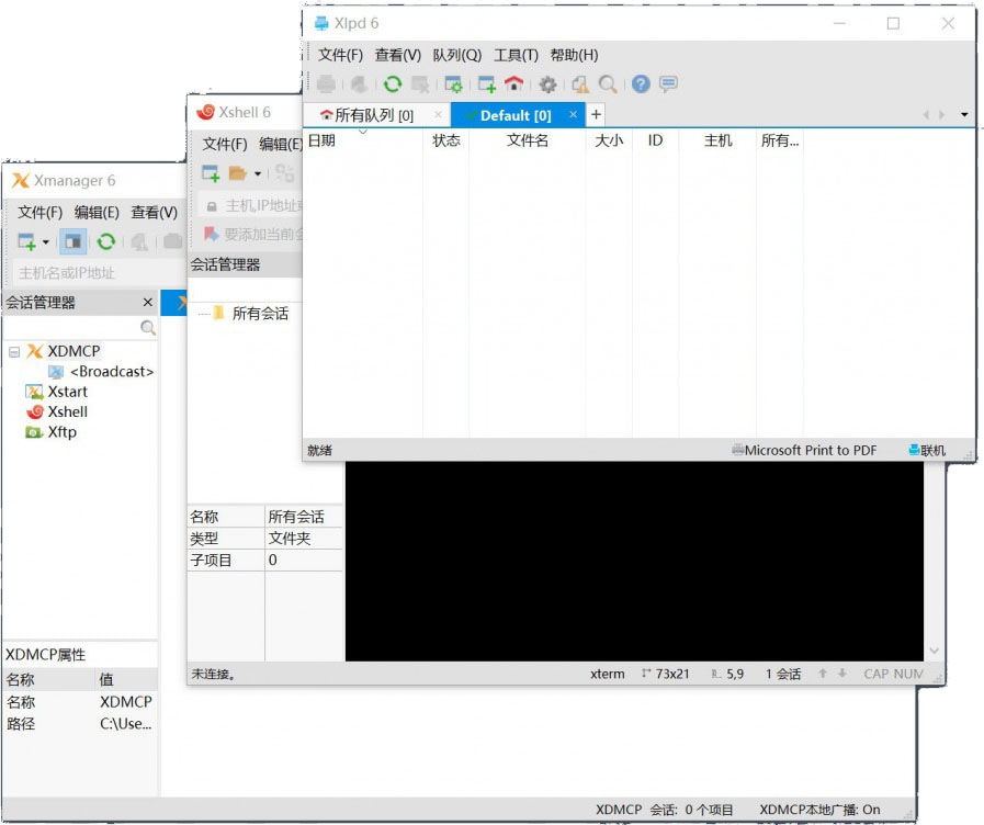 Xmanager Power Suite v6.0.0029_特别版