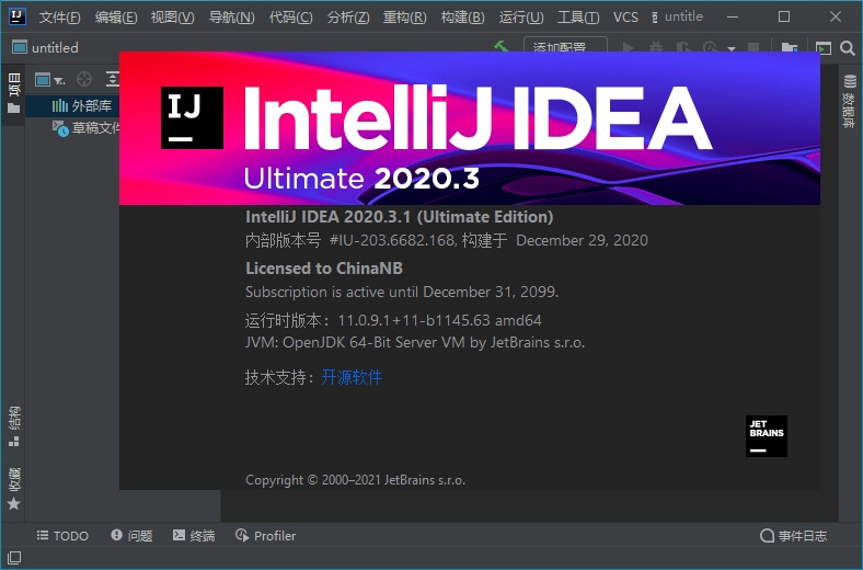 IntelliJ IDEA 2020.3.3 Ultimate 永久旗舰版